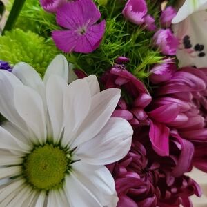 All Closets.                      Make Me An Offer.